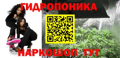 сатива Дубна