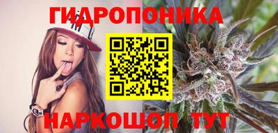 сатива Дубна