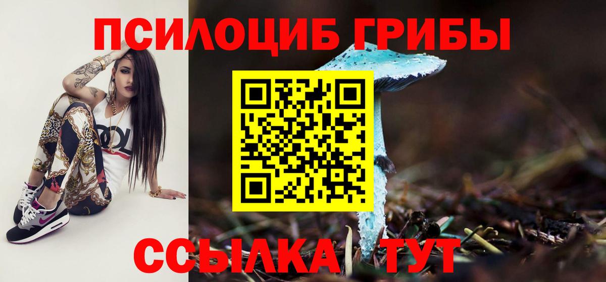 Псилоцибиновые грибы мухоморы  Новодвинск  Галлюциногенные грибы Magic Shrooms 