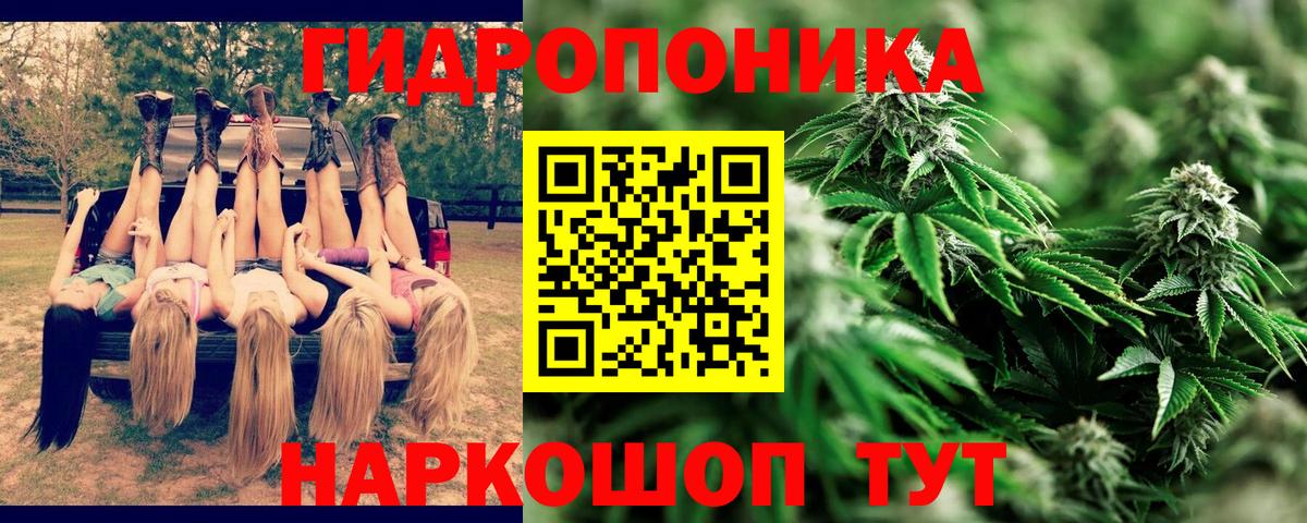 Новодвинск  Бошки Шишки MAZAR  Марихуана SATIVA & INDICA  Вход с VPN 